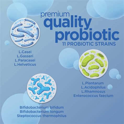 Buy Original Gut Response Digestive Enzymes, Digestive Support ...