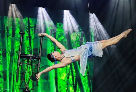 Beijing Chaoyang Theatre Acrobatic Show "Peak Performance" Ticket ...