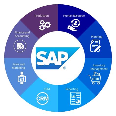 Sap Consulting | Digicent