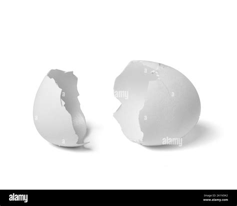 Broken Egg Shell White