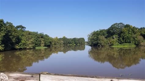 Dave Trips: Lake Fausse Pointe State Park
