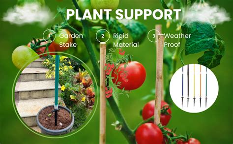 Plant Support Sticks for Creepers & Plant Support Pole 7 Feet (Pack of ...