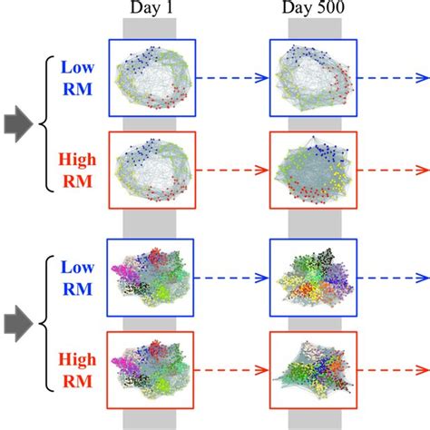 Agent-Based Simulation Model 的图像结果