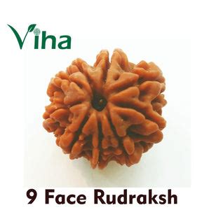 Rudraksh – Tagged "rudraksh"– Viha Online