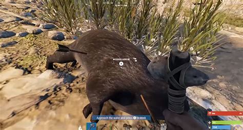 How to Start Rust 的图像结果