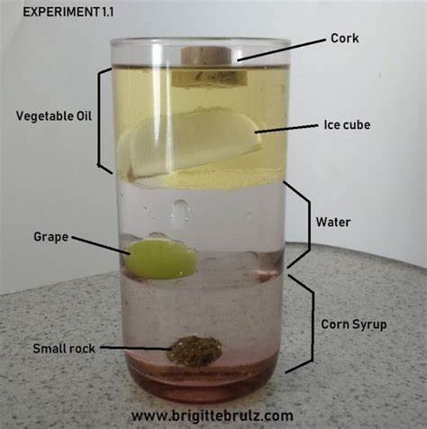 Image result for Step by Step Science Density
