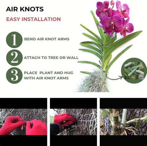 Buy Wall Planter Set of 5 Hanging Planter Air Knots| Orchid Wall ...