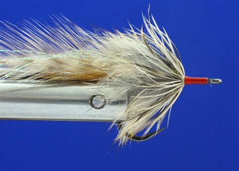 Cockroach Fly Tutorial 的图像结果