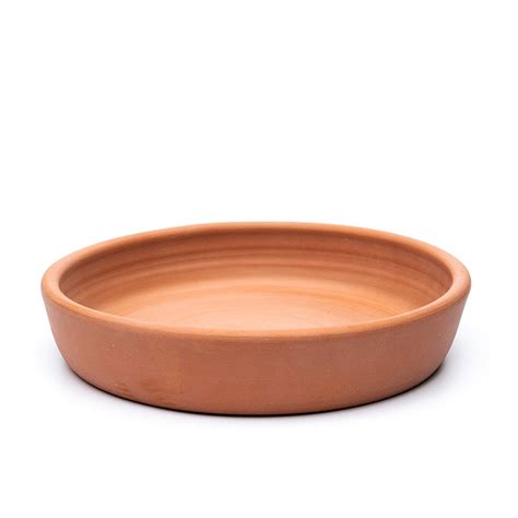 Buy Deep terracotta bird bath: Delivery by Waitrose Garden