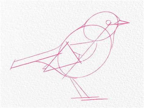 Image result for Drawing Birds Tutorial