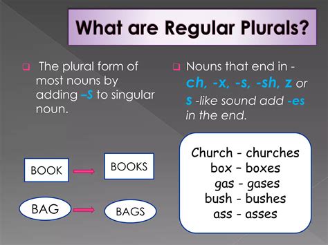 Regular and irregular plural nouns | PPTX