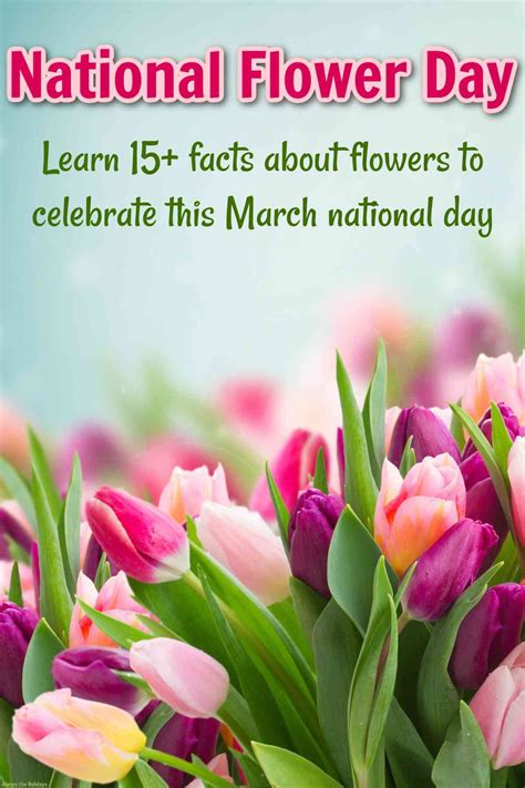 National Flower Day - Celebrate by Learning 15 Flower Facts