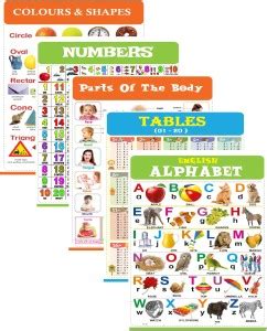 Parts Of The Body, Tables, Colours & Shapes Chart for Kids 47x65 cm ...