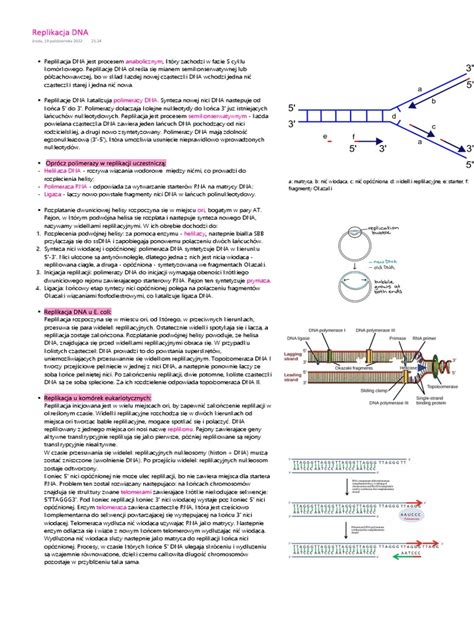 Image result for Replication Script