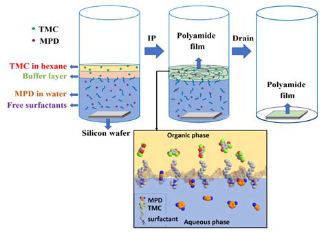 Interfacial Polymerization Process 的图像结果