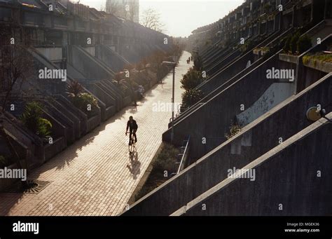 City Cycling 的图像结果