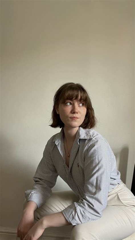 Image result for Springtail Bugs