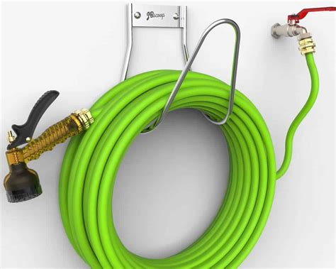 Can Roosters Lay Eggs? (and why you need them) – ChickensLife