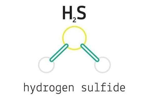 硫化氢是什么_百度知道