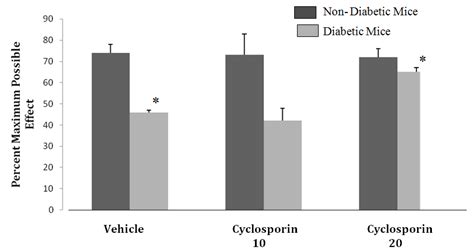 Effect of cyclosporin treatment on antinociceptive effect on morphine