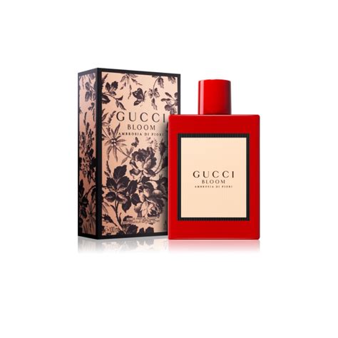 Gucci Bloom Ambrosia di Fiori Eau de Parfum for Women – Perfume Network ...