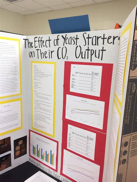 Science Project Board 的图像结果