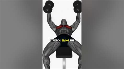 Chest Development Workout 的图像结果