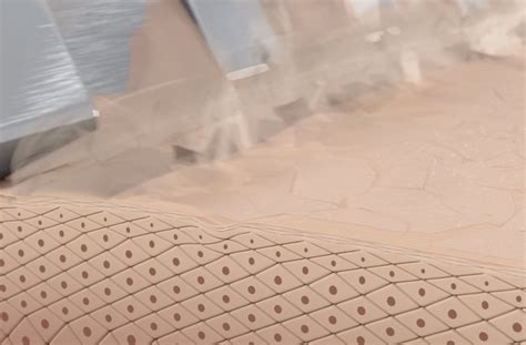 How to Use DermaFlash 的图像结果