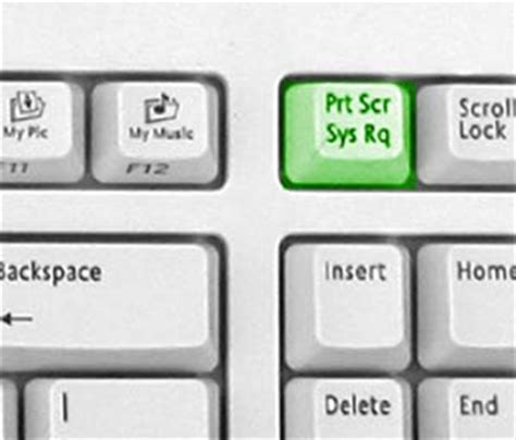 Word Copy Paste Tutorial 的图像结果