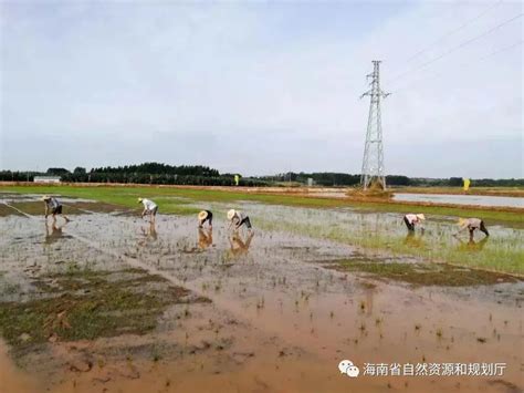 【海南农垦旅游集团】海南农垦旅游集团品牌介绍_品牌指数_媒体报道_点评评价-迈点指数