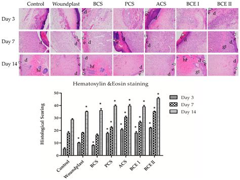 Fish Collagen Surgical Compress Repairing Characteristics on Wound ...