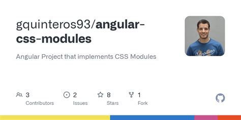 Angular CSS 的图像结果