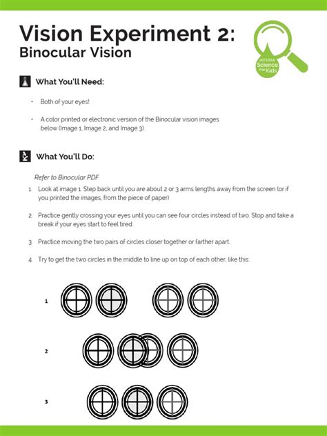 Image result for Vision Experiment