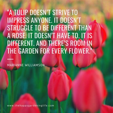 A tulip doesn't strive to impress anyone | Tulips, Beautiful flower ...