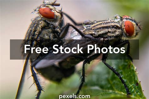 Free Animated Video Clips 的图像结果