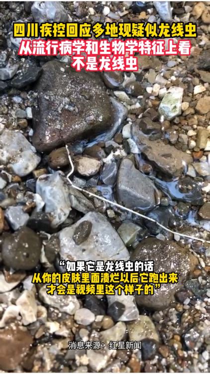 8月15日四川省疾控中心回应：多地出现的长条形线虫从流行病学和生物学特征上看，并非龙线虫