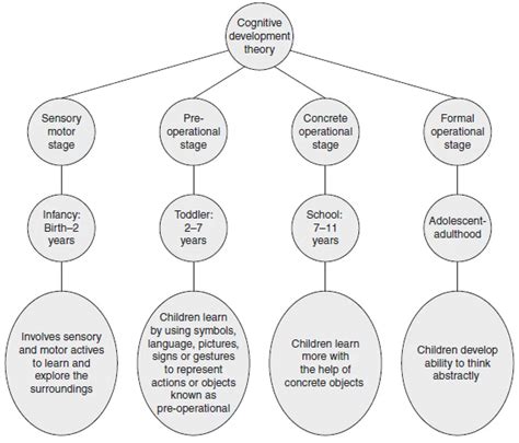 Notes: Cognitive Development Theory - Child Development and Pedagogy ...