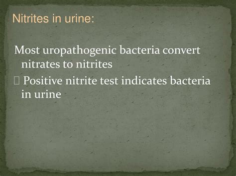 PPT - Renal Block PowerPoint Presentation, free download - ID:297376