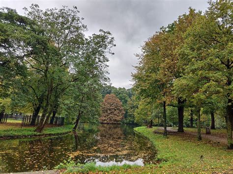 HAAGSE BOS (2026) All You Need to Know BEFORE You Go (with Reviews ...