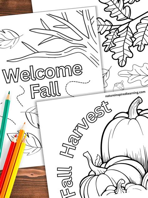Fall Coloring Page Fall Coloring Pages | Autumn November Coloring