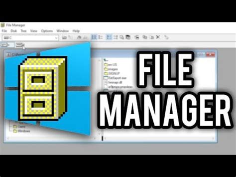 Windows 3.1 File Manager 的图像结果