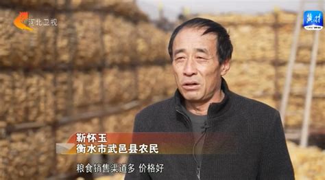 富岛 翔燕 中海化学 中国增值肥料的创造者——小麦田增值的“秘密”_刁勤昌