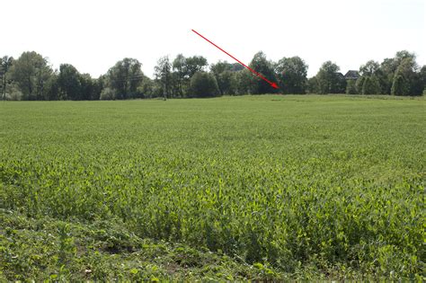 Атлас исчезнувших деревень Удмуртии - Атлас исчезнувших деревень Удмуртии