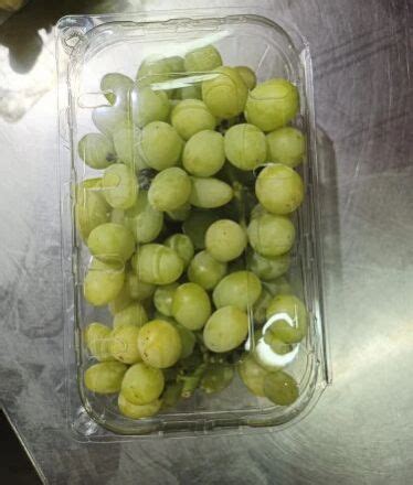 Green Thompson Grapes Exporter, Supplier from Nashik