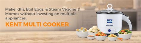 Buy KENT Kettle Multicooker Cum Steamer 1.2 liters 800W| Boiling of ...