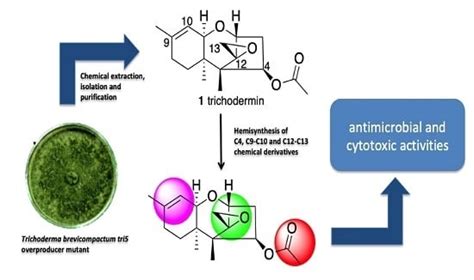 Synthesis of Trichodermin Derivatives and Their Antimicrobial and ...