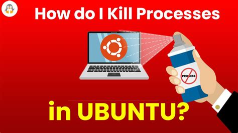 Process Ubuntu 的图像结果