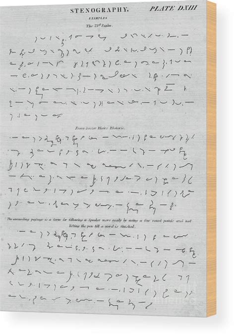 Stenograph Example 的图像结果