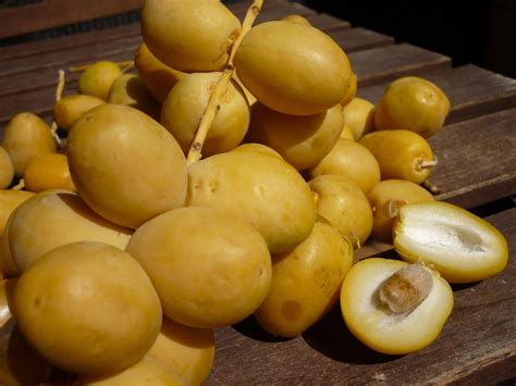 Discover the Health Benefits of Dates