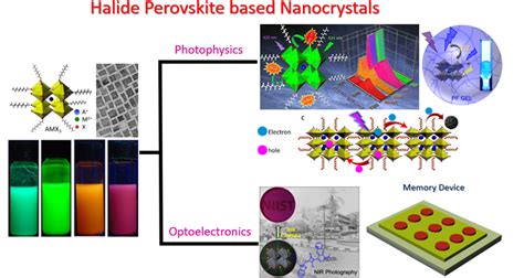 Research Areas | CSIR - National Institute For Interdisciplinary ...